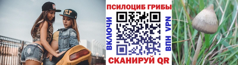 Псилоцибиновые грибы мухоморы  купить   Новороссийск 